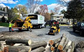 Best Firewood Processing and Delivery  in White City, OR